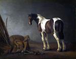 欧洲12-19世纪油画三_CALRAET, Abraham van - A Horse with a Saddle Beside it